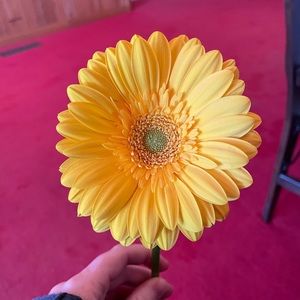 Meet your Posher, Gwen